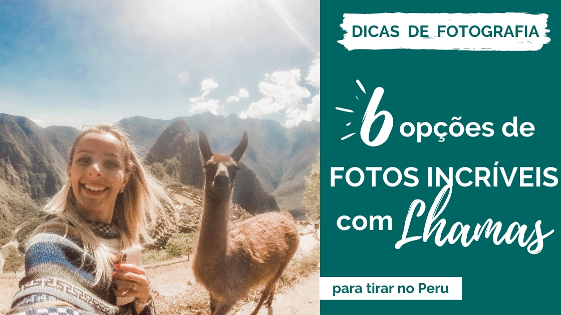 6 fotos com lhamas